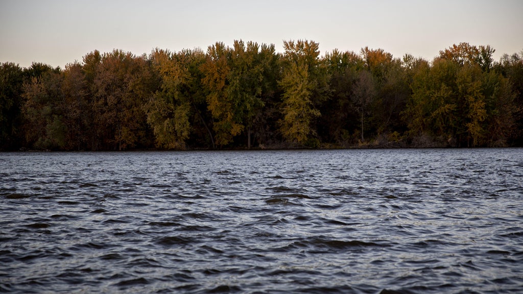Watchdog says PFAS found in 100% of Minnesota water testing sites — WCCO / CBS Minnesota, Farmington Health news