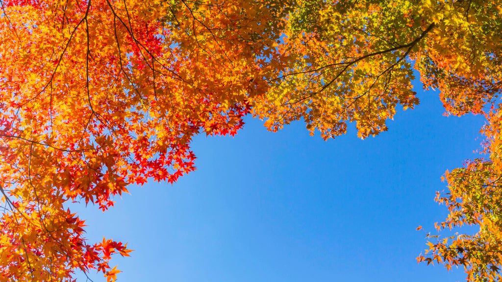 More near-record warmth Monday in Minnesota ahead of big cooldown — WCCO / CBS Minnesota, Farmington Community news