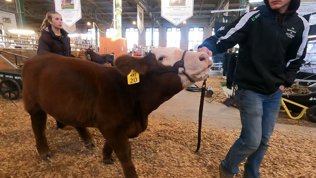 Spotlight on beef as Minnesota midterms near — WCCO / CBS Minnesota, Farmington Community news