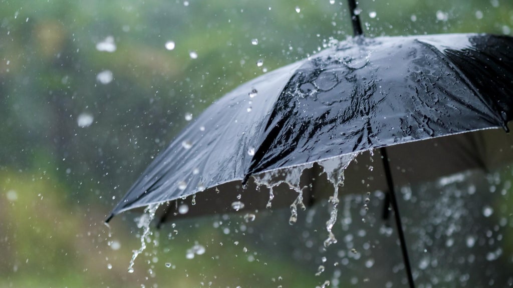 Widespread rain in Minnesota Monday; milder air returns Tuesday — WCCO / CBS Minnesota, Farmington Community news