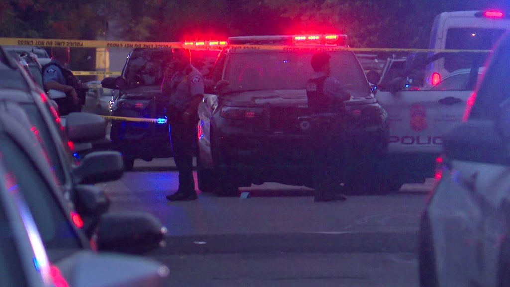 Officer fires gun after armed carjacking, squad car hit by stolen car — WCCO / CBS Minnesota, Farmington Health news