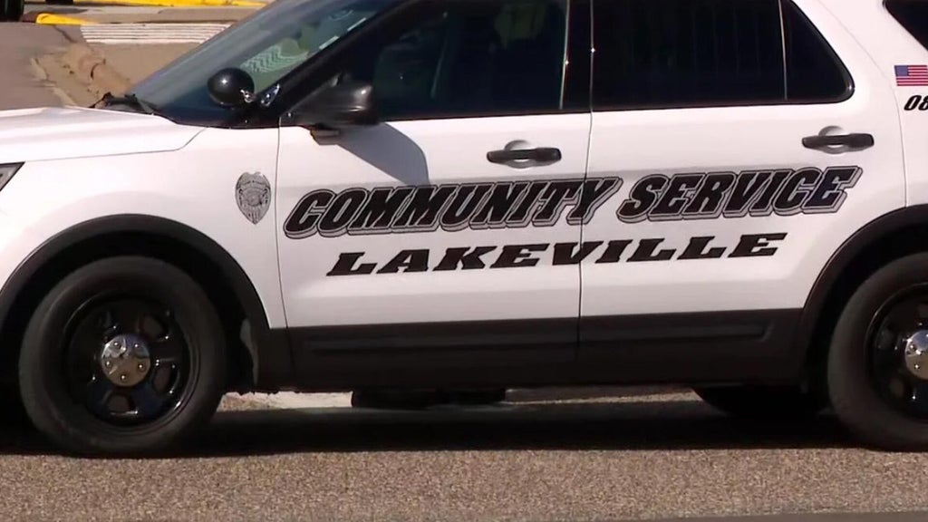 Lakeville man convicted of murdering sister, her unborn child in 2024 — WCCO / CBS Minnesota, Farmington Community news