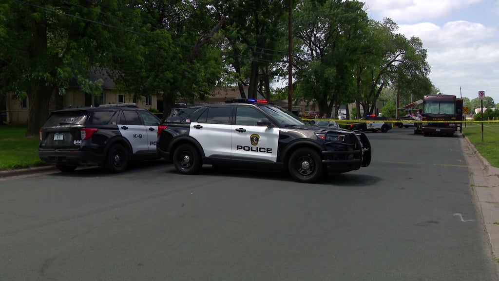 Man sentenced for killing cousin during fight in Bloomington driveway — WCCO / CBS Minnesota, Farmington Community news