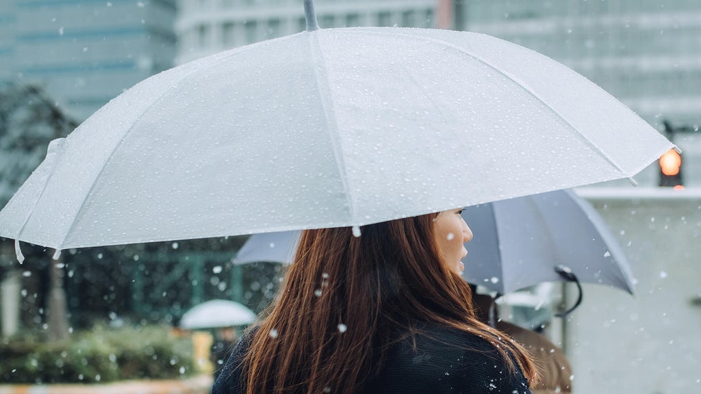 Soggy, chilly Thursday in the Twin Cities; season's first frost possible Saturday — WCCO / CBS Minnesota, Farmington Sports news