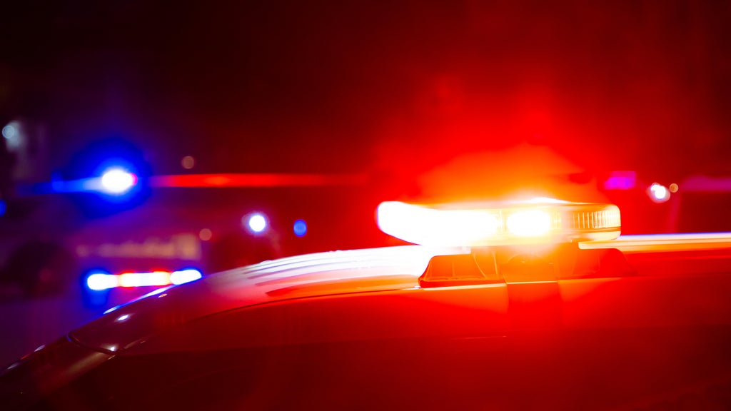 Driver killed in head-on collision with semi in central Minnesota — Farmington Community news