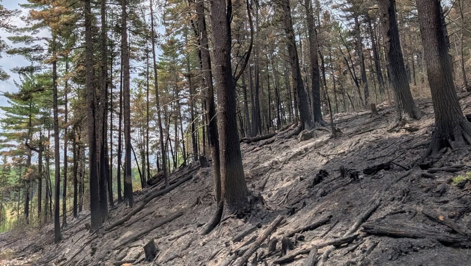 74-year-old who became separated from his family on a trail in Ely was discovered dead — KSTP 5, Farmington Community news