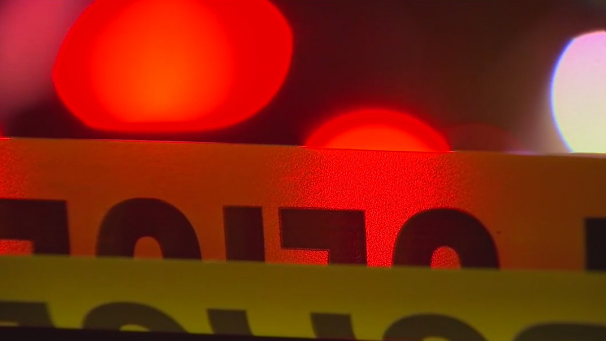 Eden Prairie homecoming shooting: Riot suspect charged in separate graduation gun incident — FOX 9, Farmington Schools news