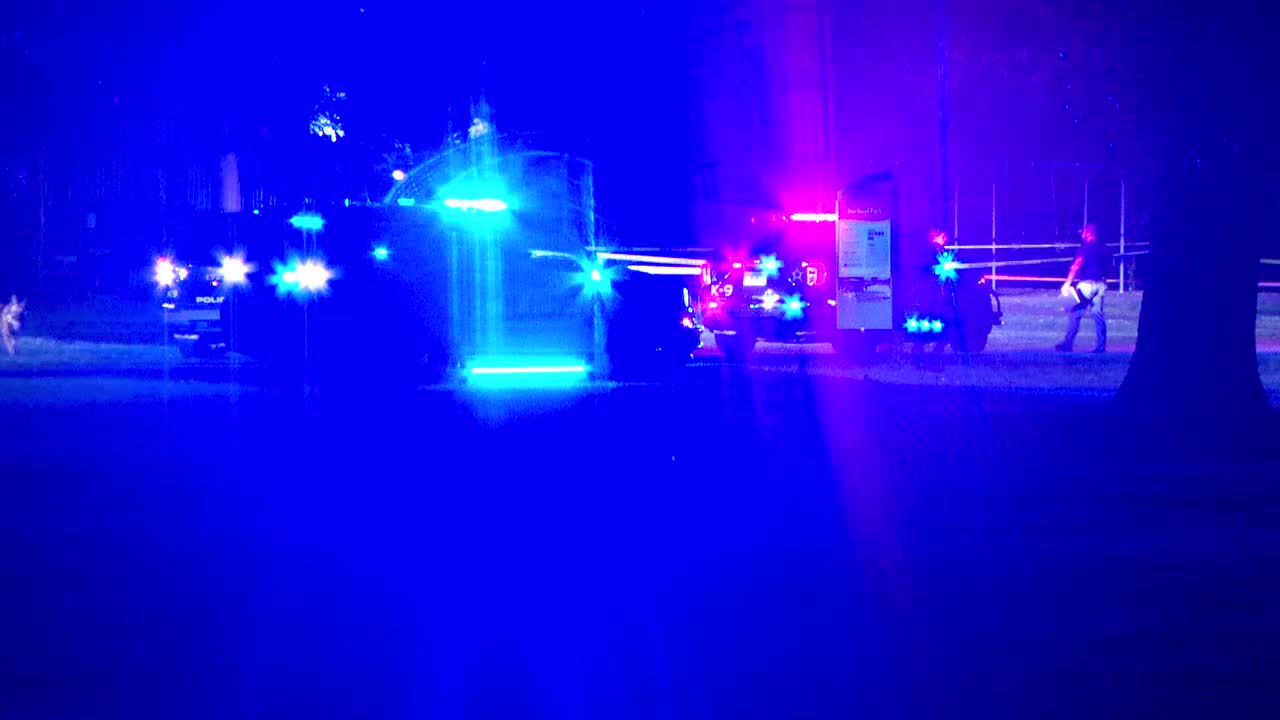 Brooklyn Park teen shooting suspect ordered to stand trial as adult — FOX 9, Farmington Community news