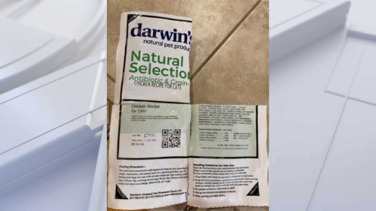 FDA warns pet owners after salmonella found in frozen cat food — Farmington Community news