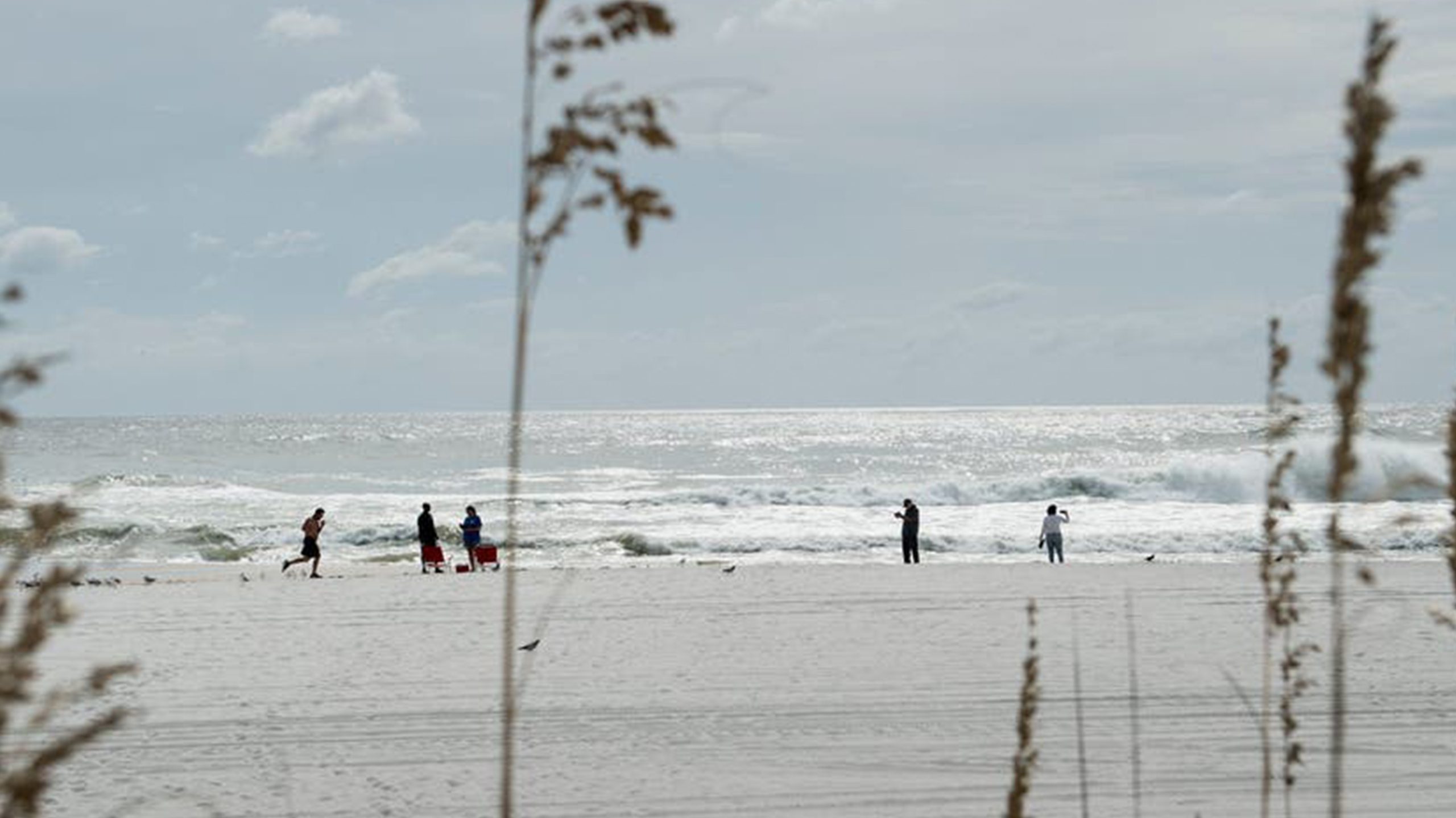 Father of 2 drowns after being caught in current trying to rescue seagull caught in fishing line — Farmington Community news